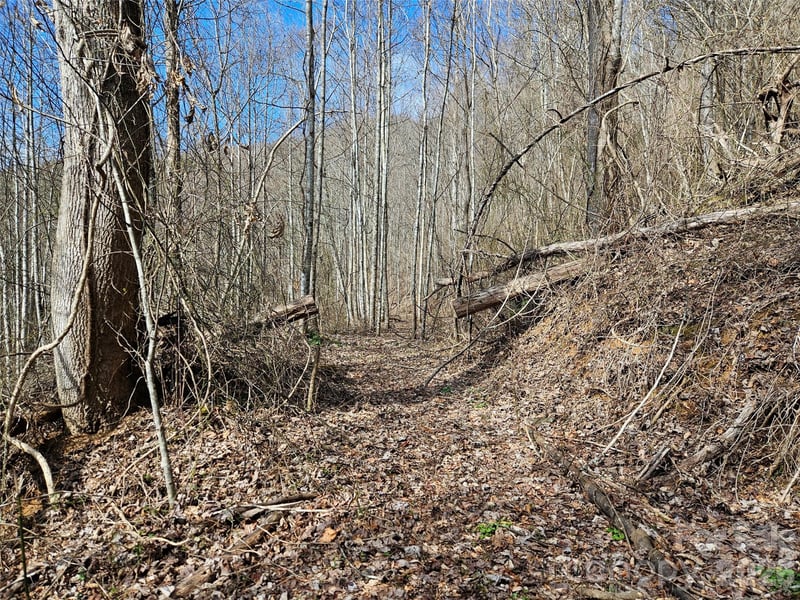 Woodfin Rd, Sylva, NC 28779