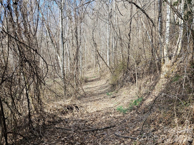 Woodfin Rd, Sylva, NC 28779
