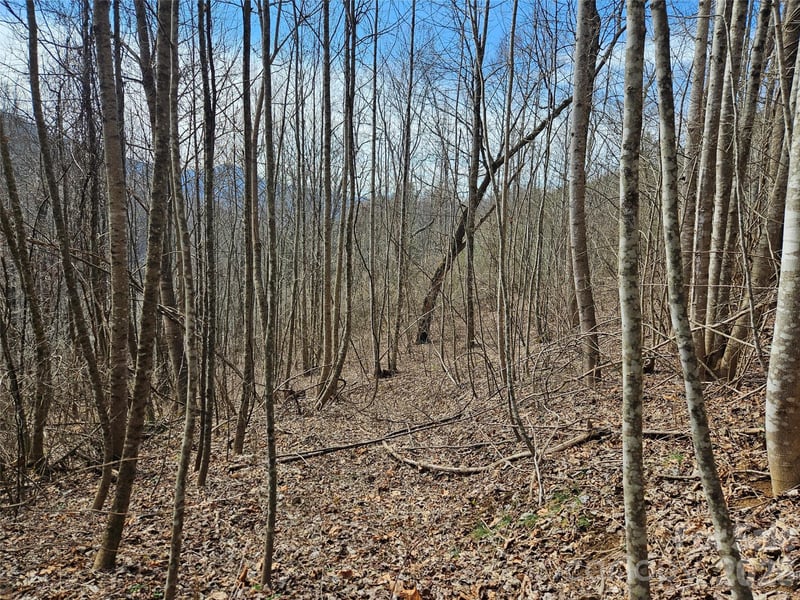 Woodfin Rd, Sylva, NC 28779