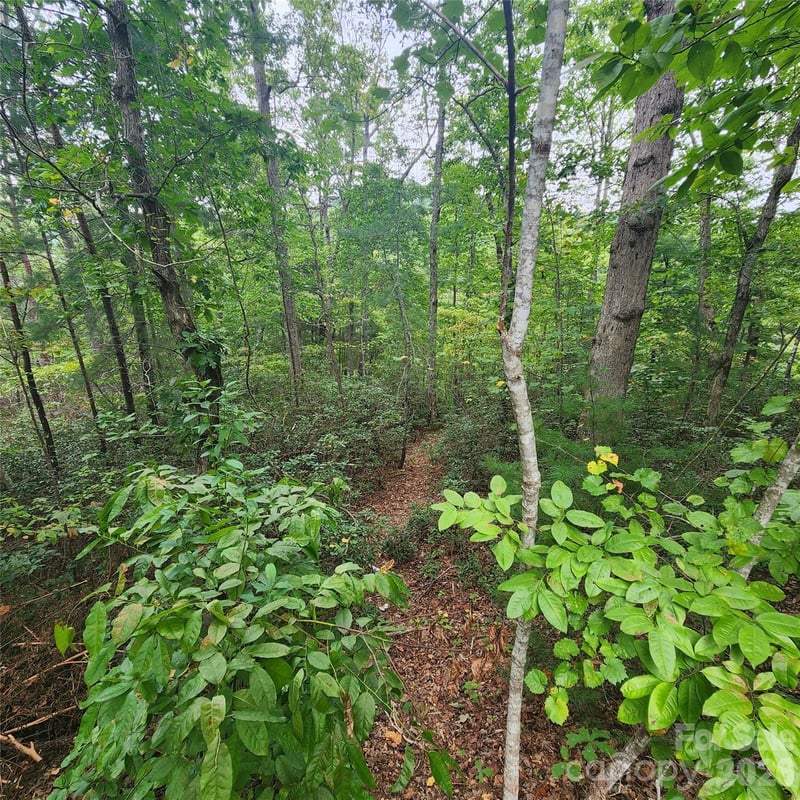 Lot 11 Waterside Dr, Lake Lure, NC 28746