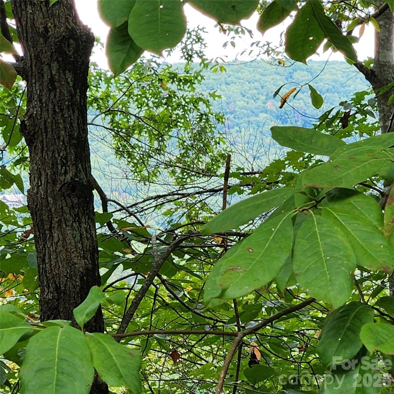 Lot 11 Waterside Dr, Lake Lure, NC 28746