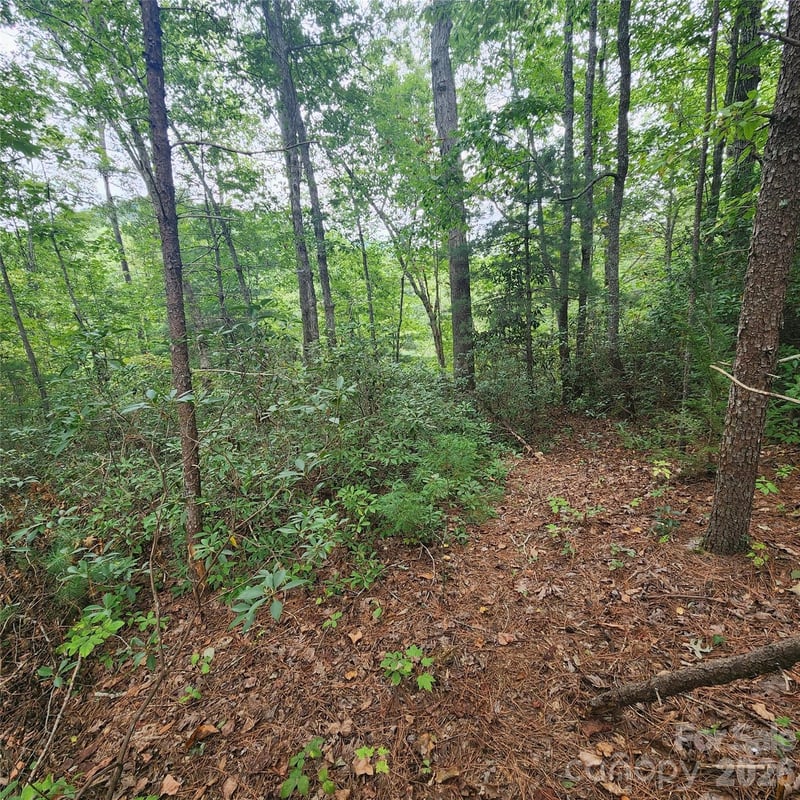 Lot 11 Waterside Dr, Lake Lure, NC 28746