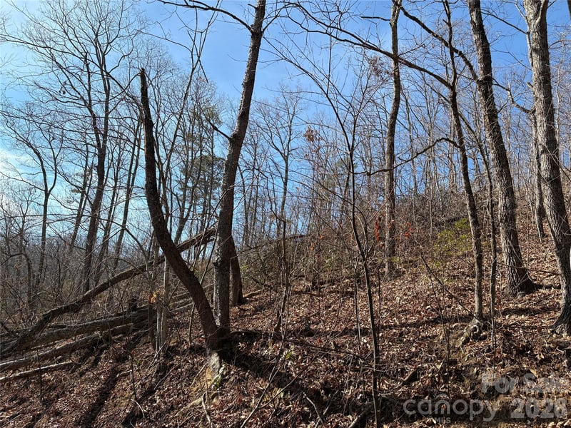 100 Pine Tree Dr, Candler, NC 28715