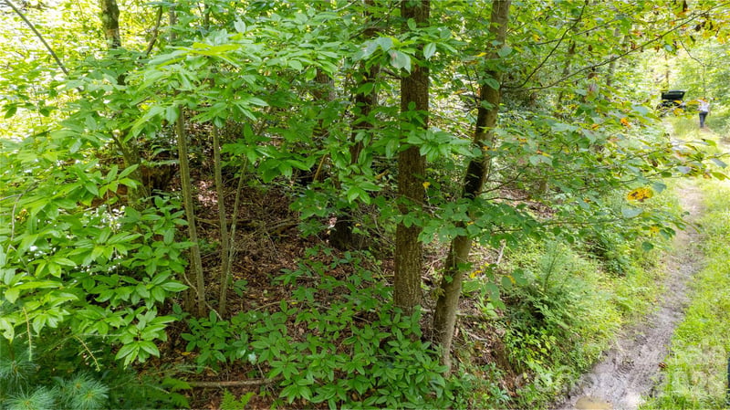 TBD Collettsville Rd #9, Collettsville, NC 28611