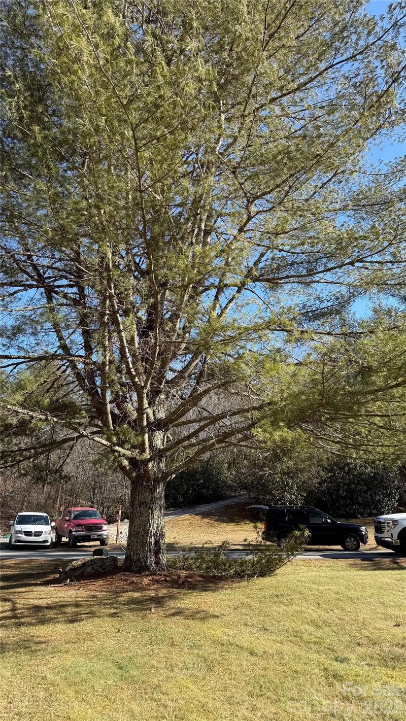 207 Receptive Dr #29, Glenville, NC 28736