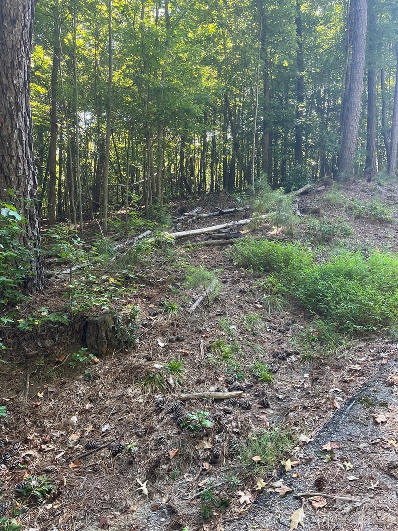Lakeside Dr, Union, SC 29379