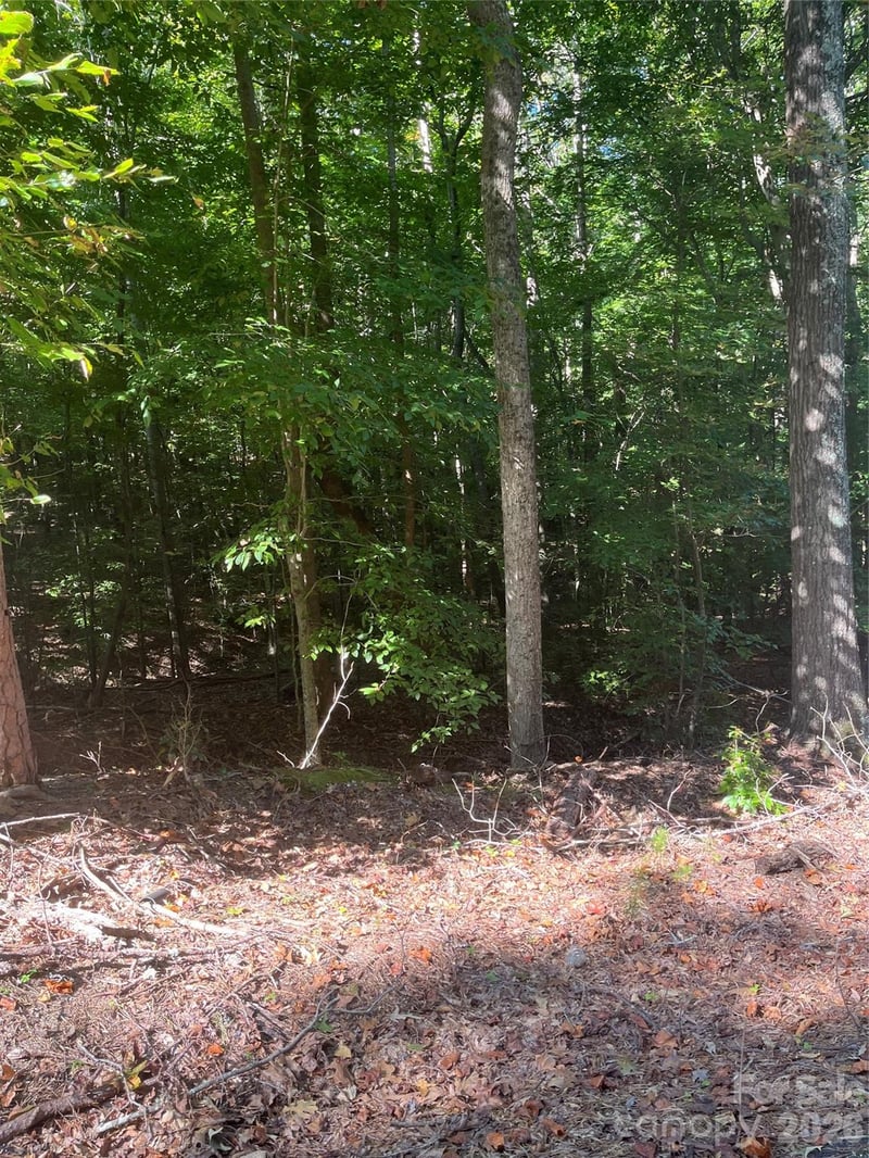 Lakeside Dr, Union, SC 29379