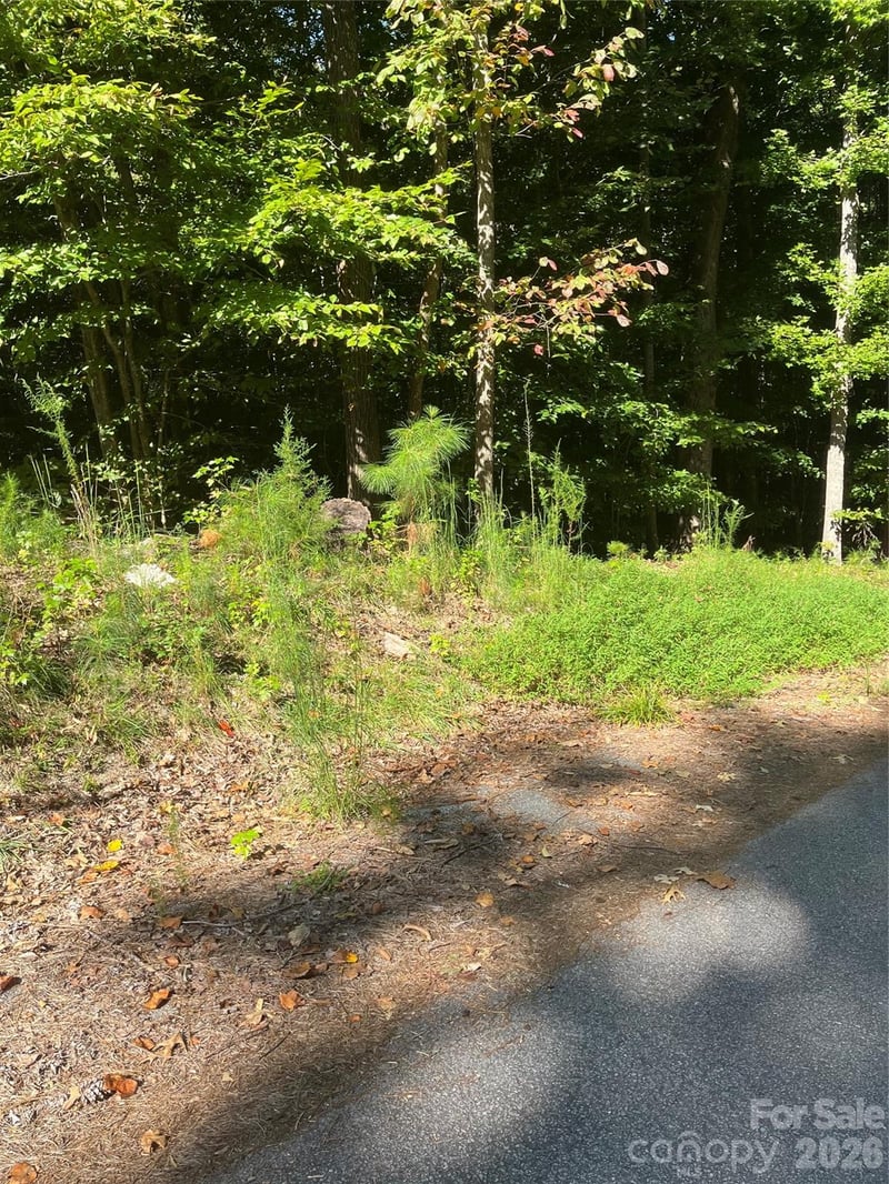 Lakeside Dr, Union, SC 29379