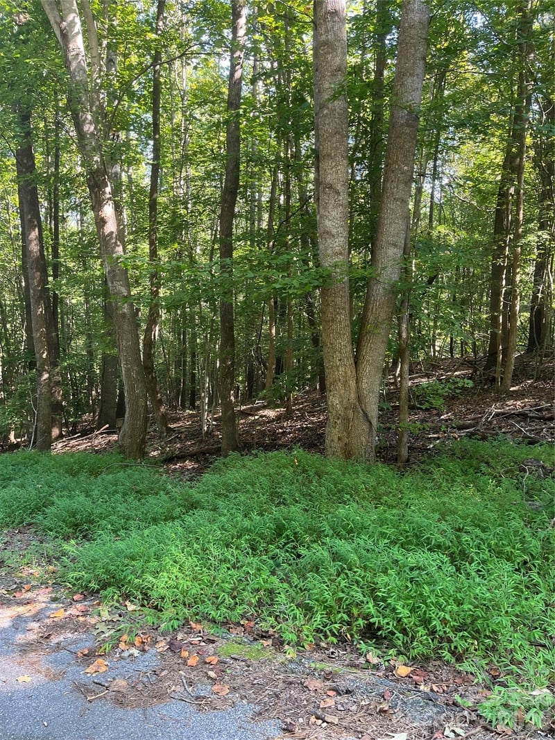 Lakeside Dr, Union, SC 29379
