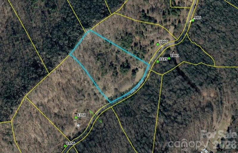 9999 Bee Log Rd, Burnsville, NC 28714