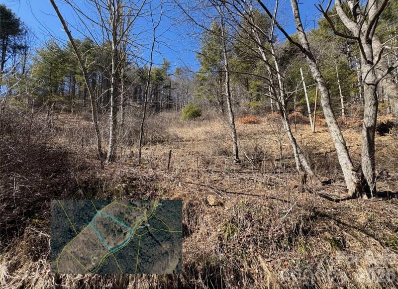 9999 Bee Log Rd, Burnsville, NC 28714