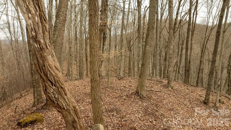 0000 Devils Knob Rd, Mars Hill, NC 28754