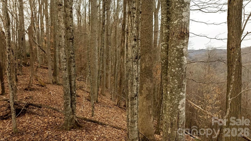 0000 Devils Knob Rd, Mars Hill, NC 28754