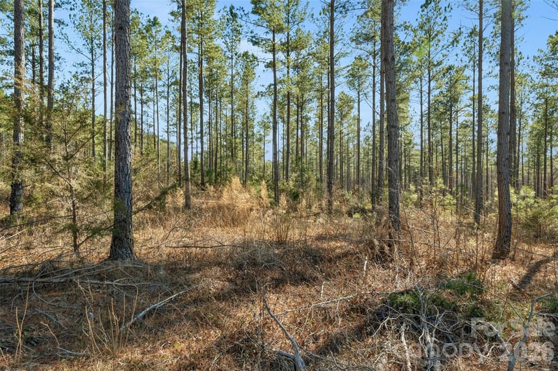 000 Peacehaven Rd #1, Mcconnells, SC 29726