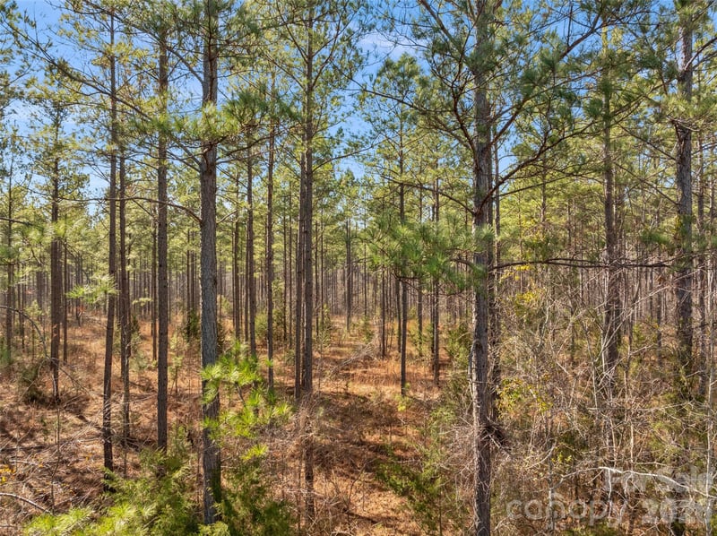 000 Peacehaven Rd #1, Mcconnells, SC 29726
