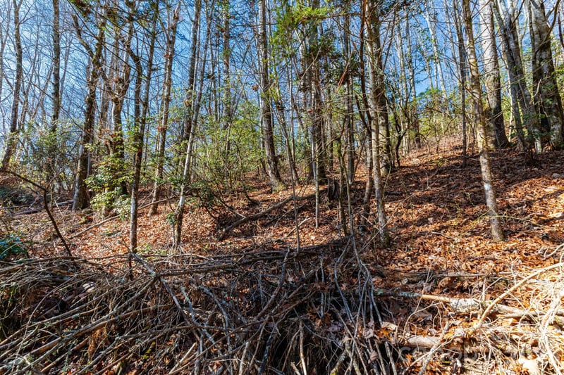 999 Flat Creek Valley Rd, Lake Toxaway, NC 28747