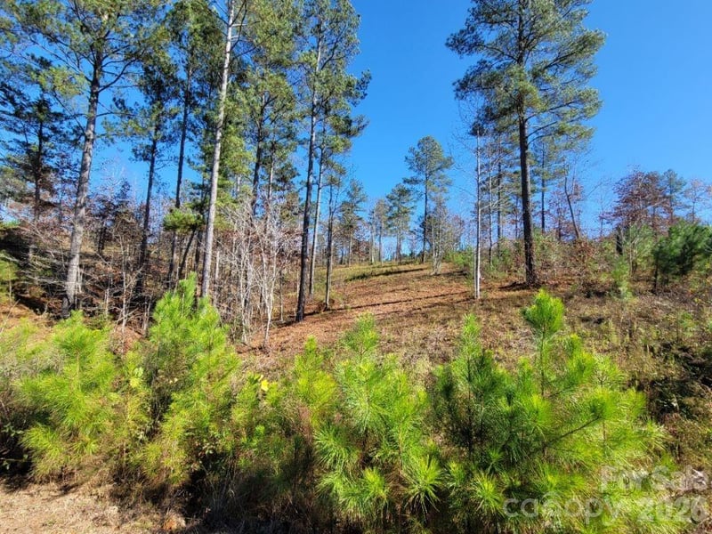 2076 Island View Ln, Connelly Springs, NC 28612