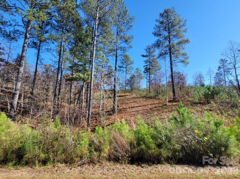 2076 Island View Ln, Connelly Springs, NC 28612
