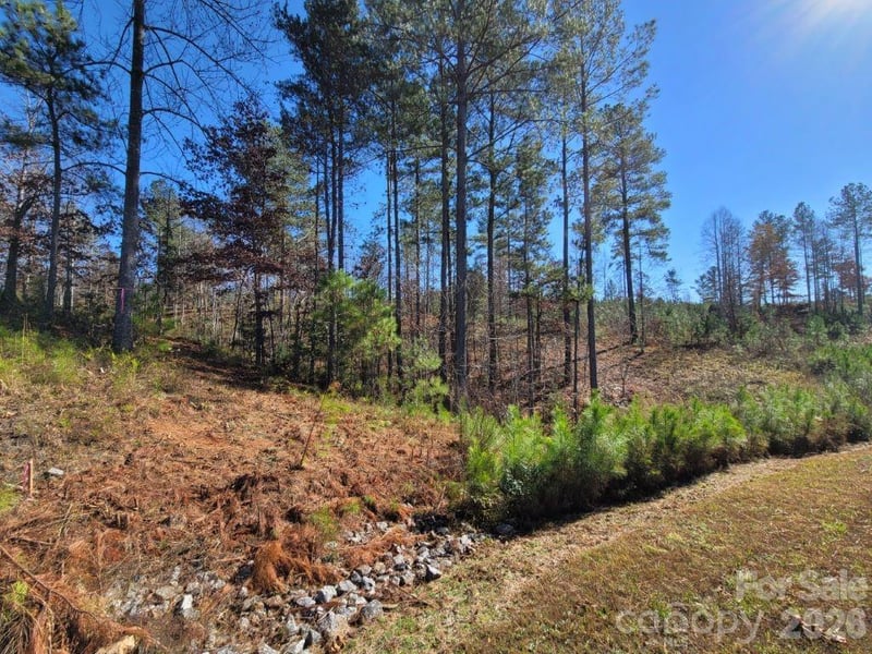 2076 Island View Ln, Connelly Springs, NC 28612