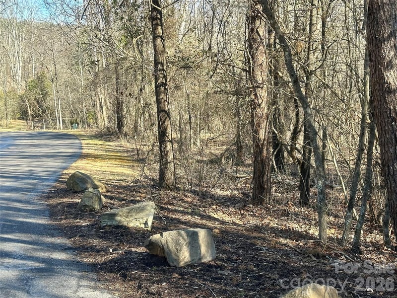 99999 River Crest Pw, Rutherfordton, NC 28139