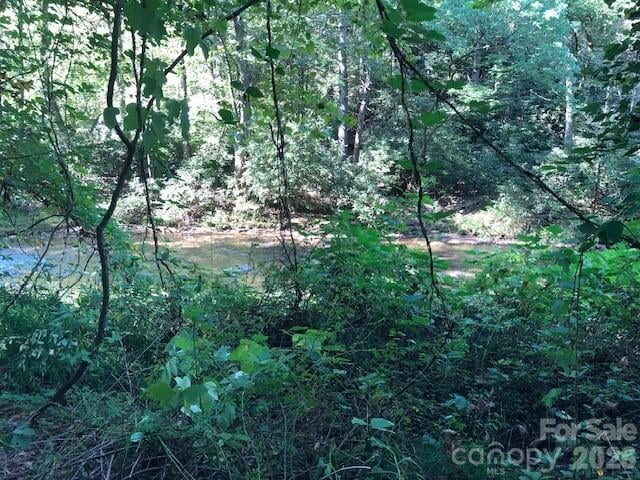 000 Moonshine Trl #19, Hendersonville, NC 28792