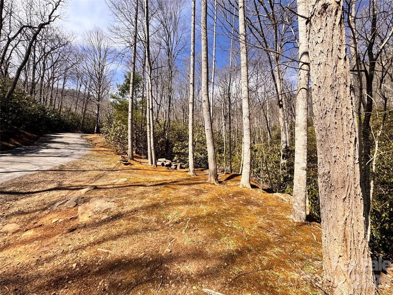 212 Harmony Ln #1142, Montreat, NC 28757