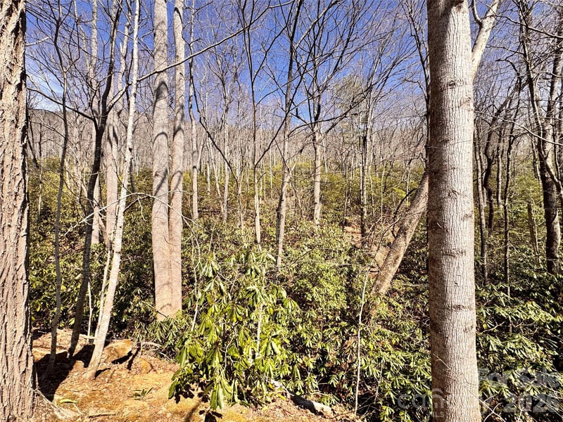 212 Harmony Ln #1142, Montreat, NC 28757