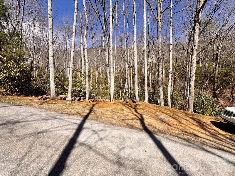 212 Harmony Ln #1142, Montreat, NC 28757