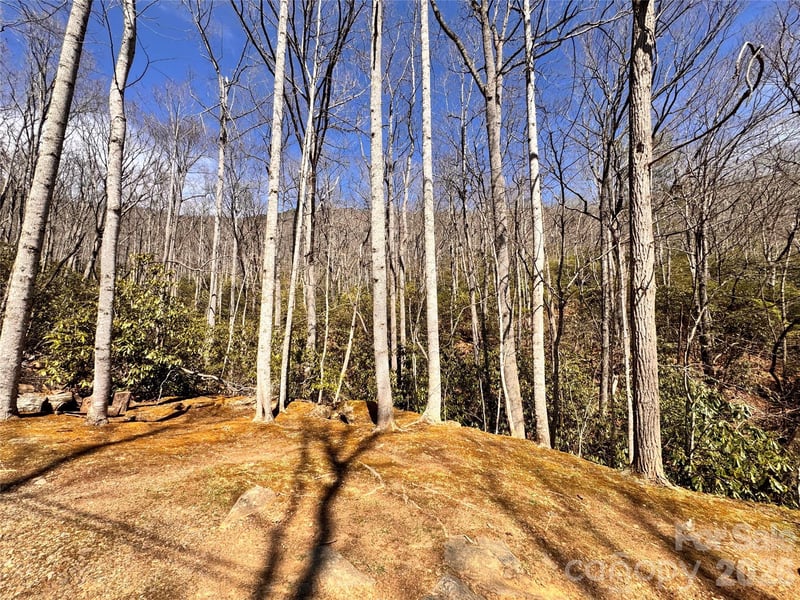 212 Harmony Ln #1142, Montreat, NC 28757