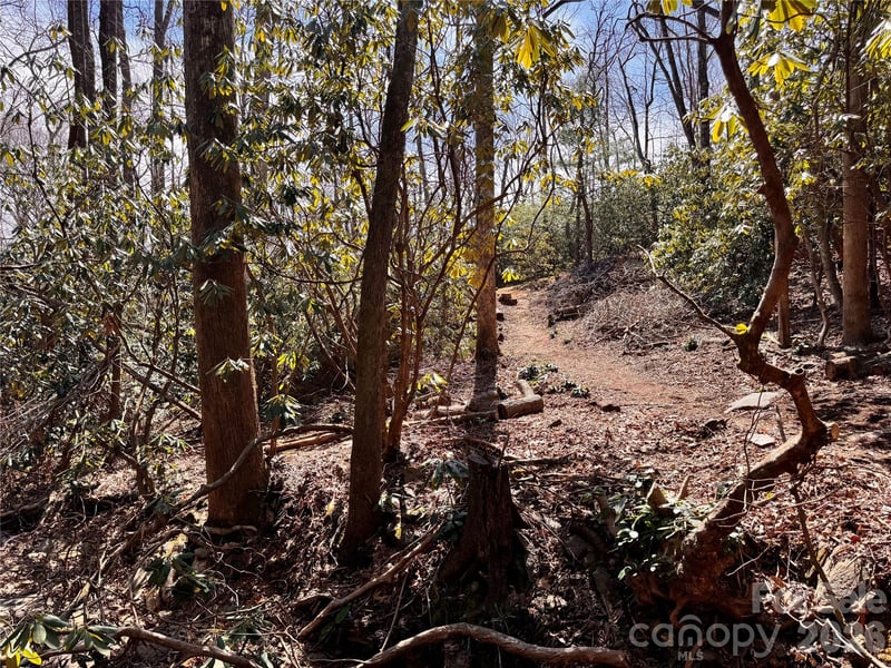 212 Harmony Ln #1142, Montreat, NC 28757