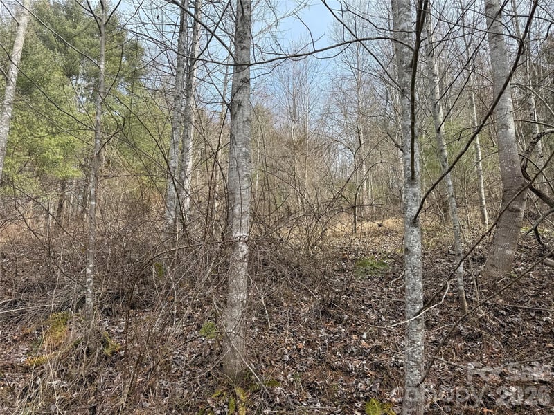 000 Rosalie Ln #5, Waynesville, NC 28785
