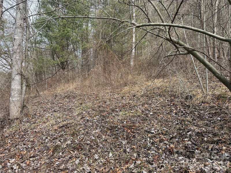 000 Rosalie Ln #5, Waynesville, NC 28785