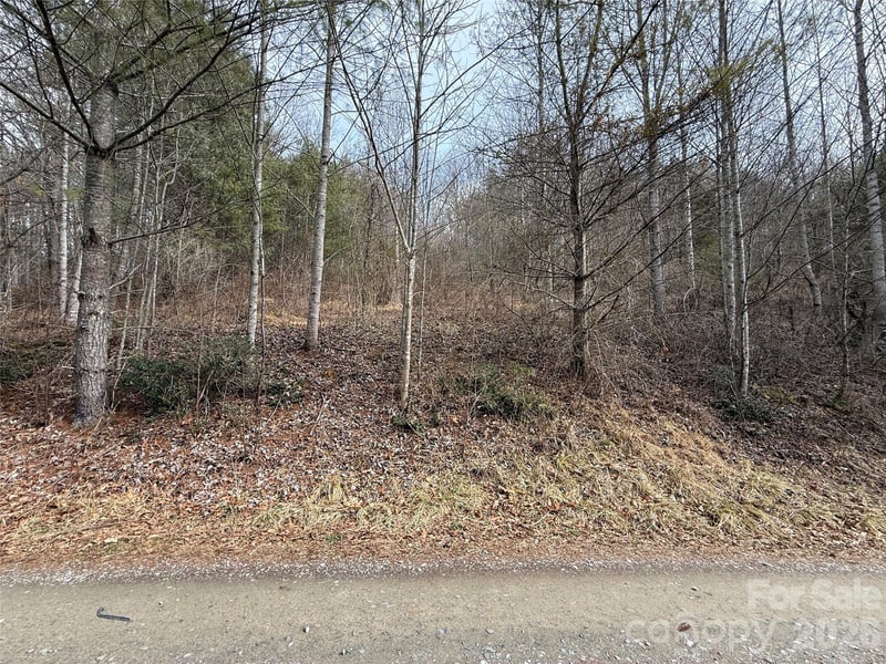 000 Rosalie Ln #5, Waynesville, NC 28785