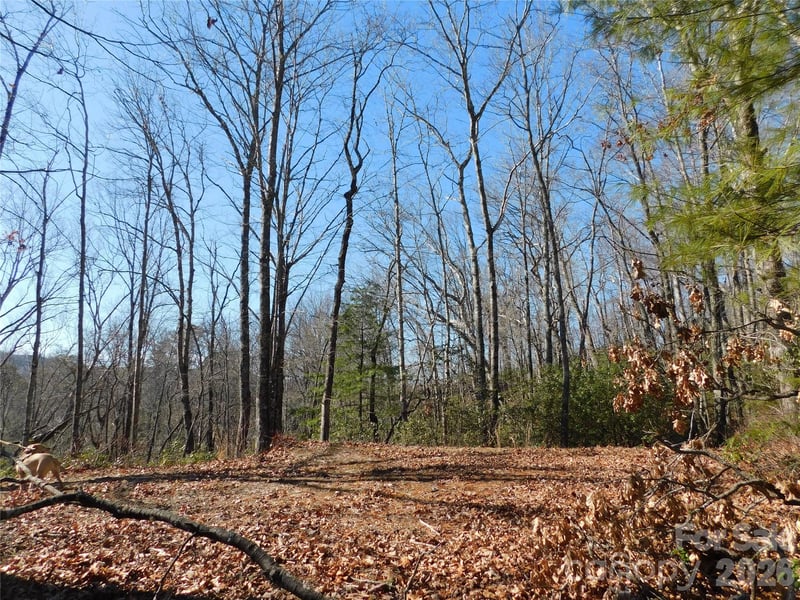 154 Laurel Thicket Dr #98, Brevard, NC 28712