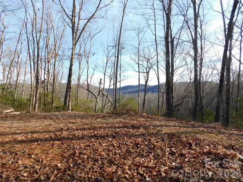 154 Laurel Thicket Dr #98, Brevard, NC 28712