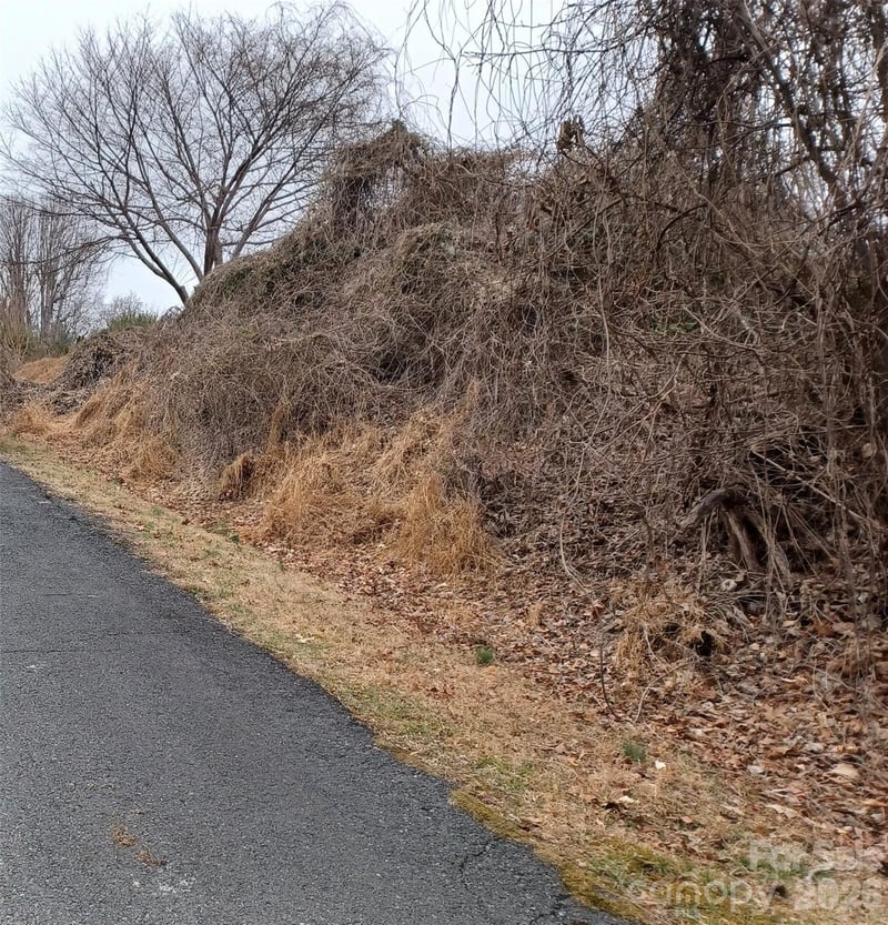 Frank St, Mount Airy, NC 27030