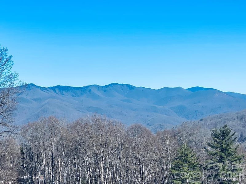 42 Nowhere Dr, Sylva, NC 28779