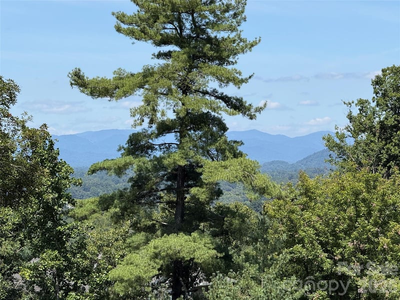 44 Leisure Mountain Rd, Asheville, NC 28804