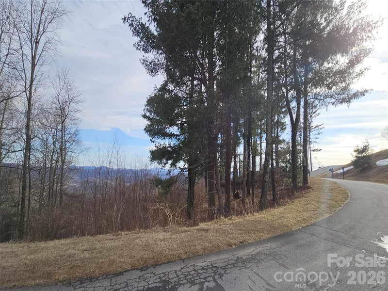 Dancing Bear Dr, Hendersonville, NC 28792