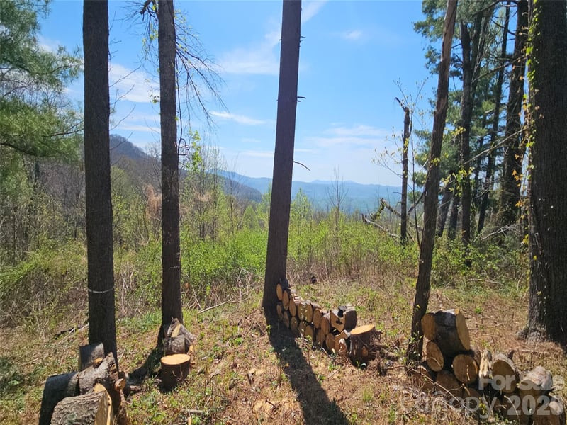 Dancing Bear Dr, Hendersonville, NC 28792