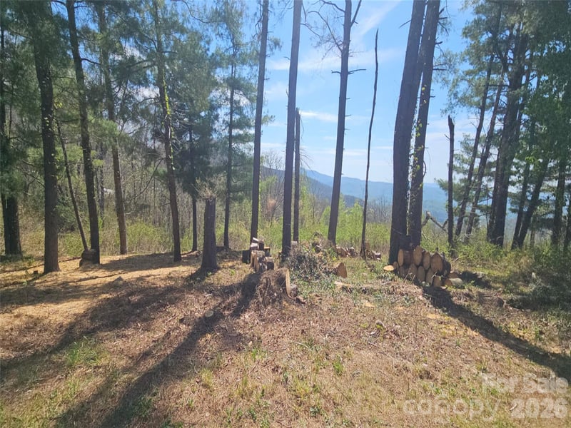 Dancing Bear Dr, Hendersonville, NC 28792