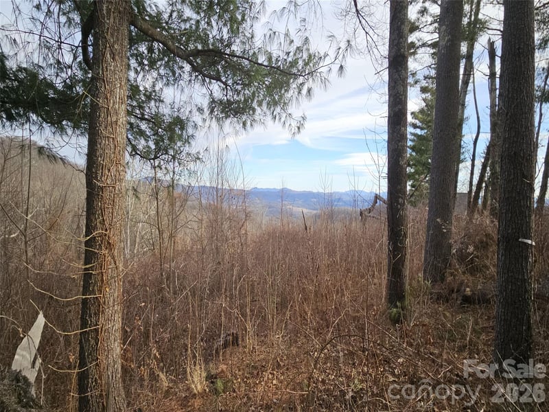Dancing Bear Dr, Hendersonville, NC 28792