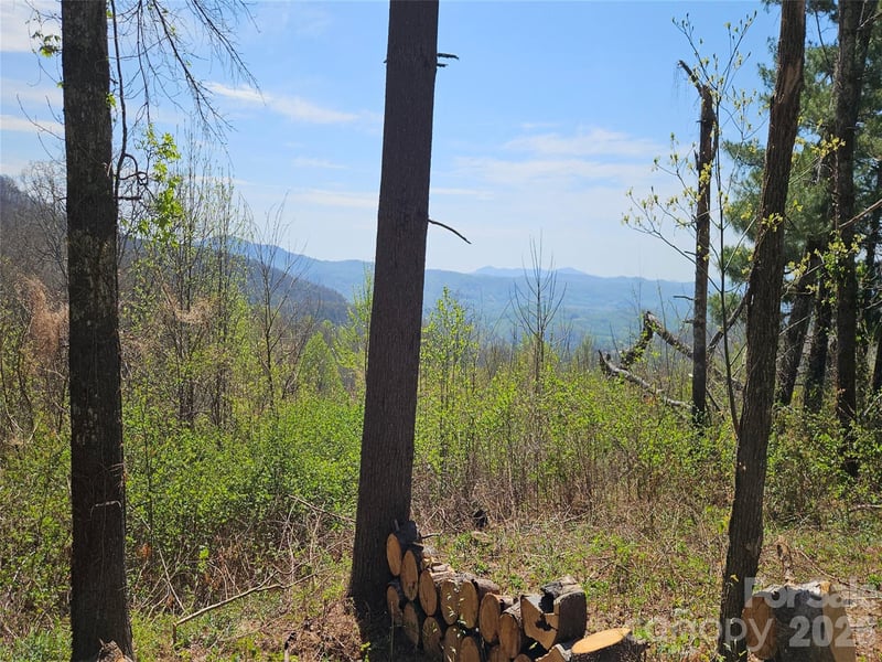 Dancing Bear Dr, Hendersonville, NC 28792