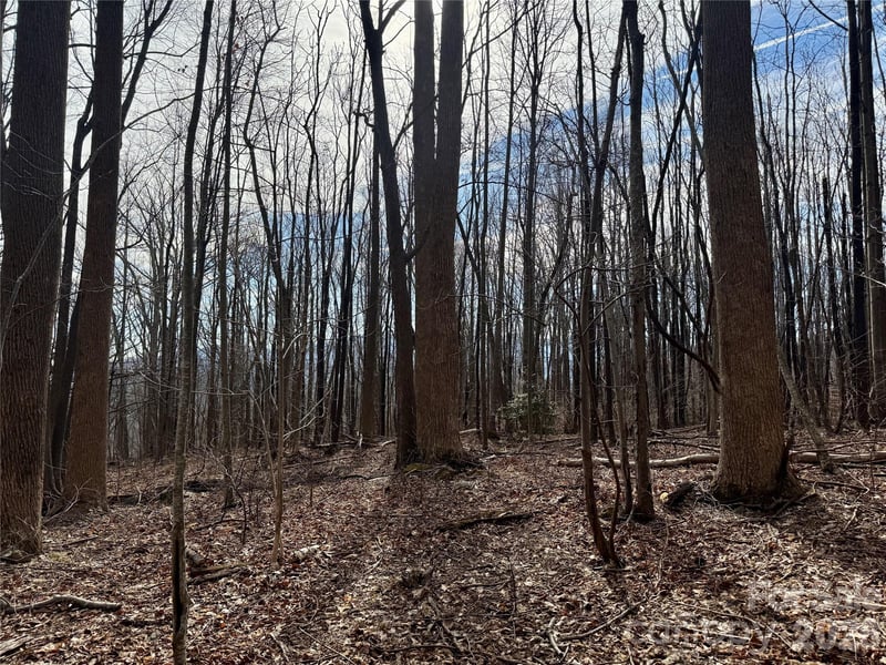 99999 Chesterfield Dr #179, Mill Spring, NC 28756