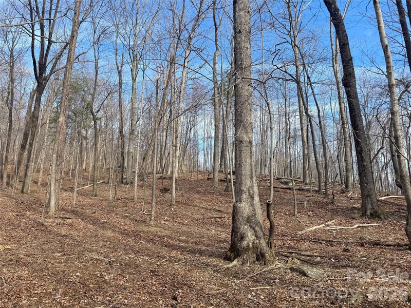 99999 Chesterfield Dr #176, Mill Spring, NC 28756