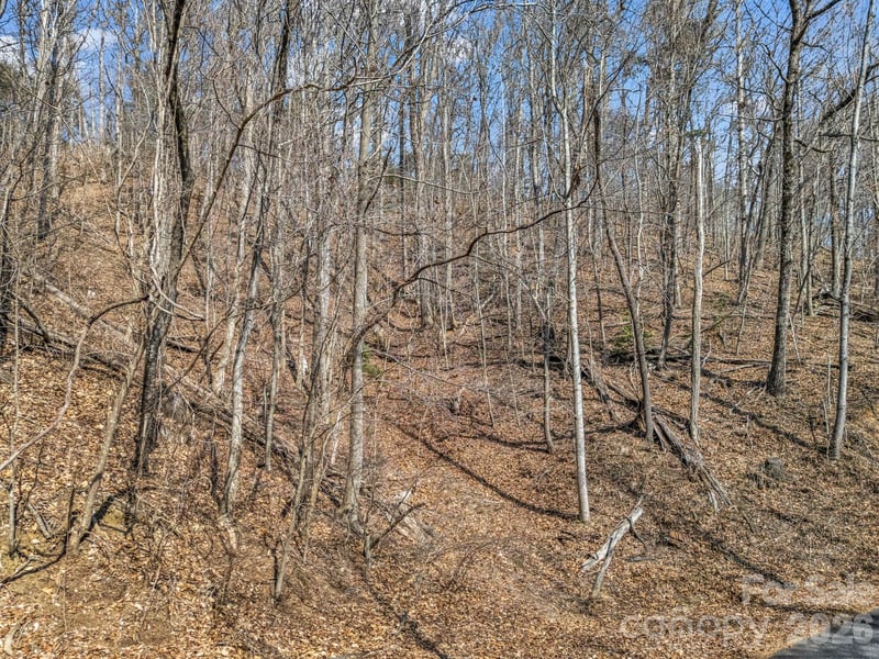 Hemlock Trl #19, Columbus, NC 28722