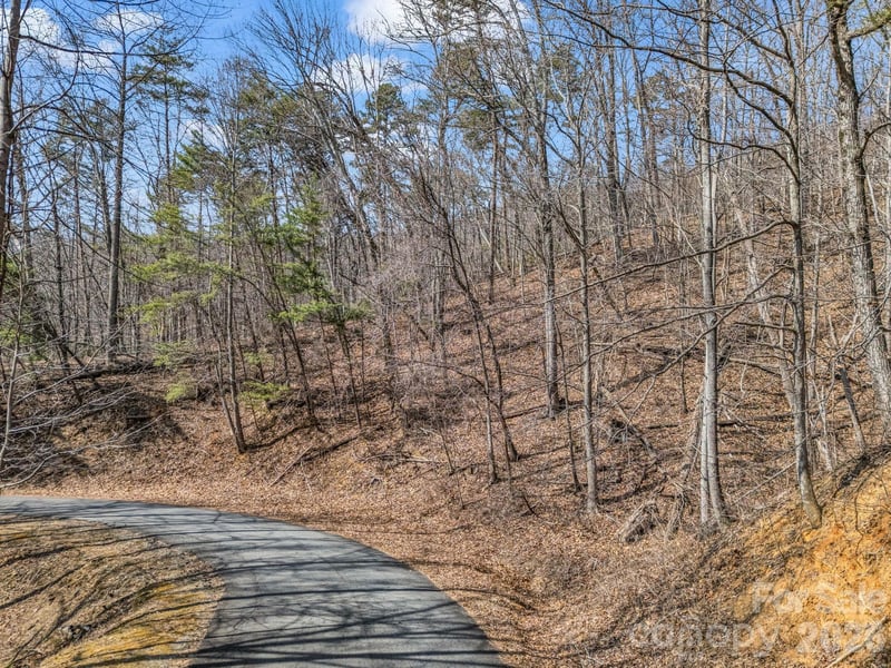 Hemlock Trl #19, Columbus, NC 28722