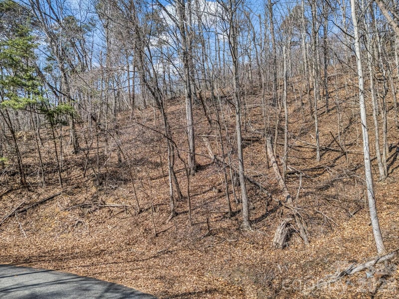Hemlock Trl #19, Columbus, NC 28722