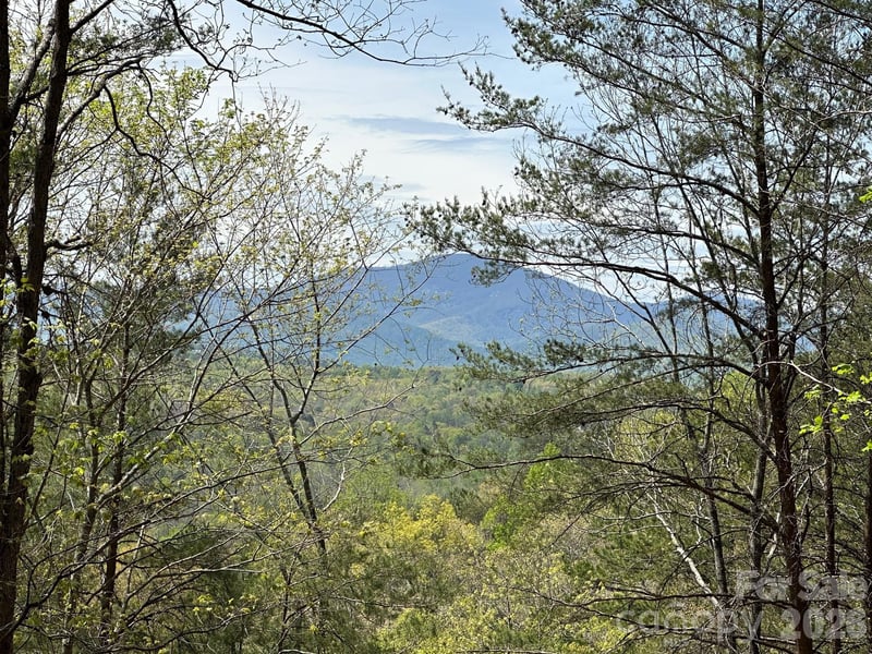 5510 Us Hwy 64/74a None, Lake Lure, NC 28746