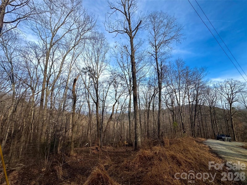 Peartree Dr, Lake Lure, NC 28746